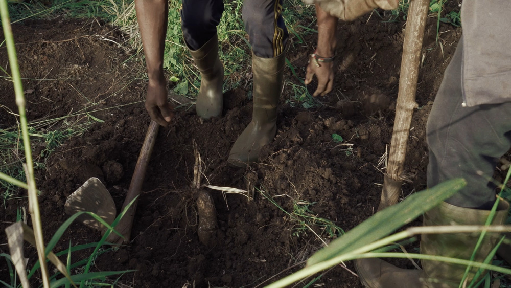 The Currency - Sensing 2 Ladipo, Film Still