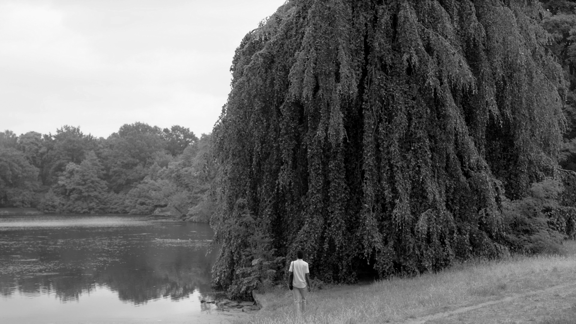 The Guestbook - Film Still